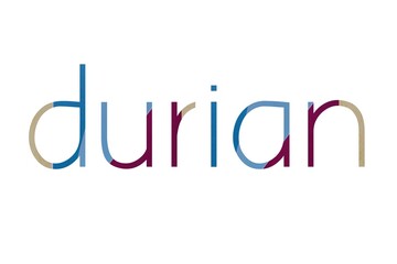 the word durian on colorful cardboard