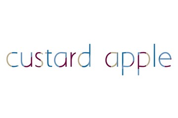 the word custard apple on colorful cardboard