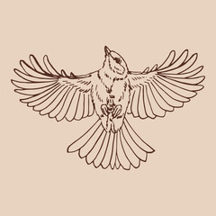 Titmouse. Flying bird. Hand drawn vector illustration.