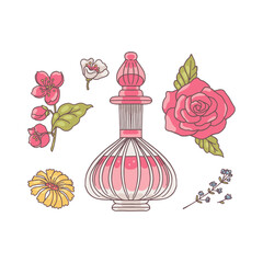 Flowers and pink perfume glass bottle, rose, lavender, daisy blossom, vector floral fragrance cosmetic, aromatherapy