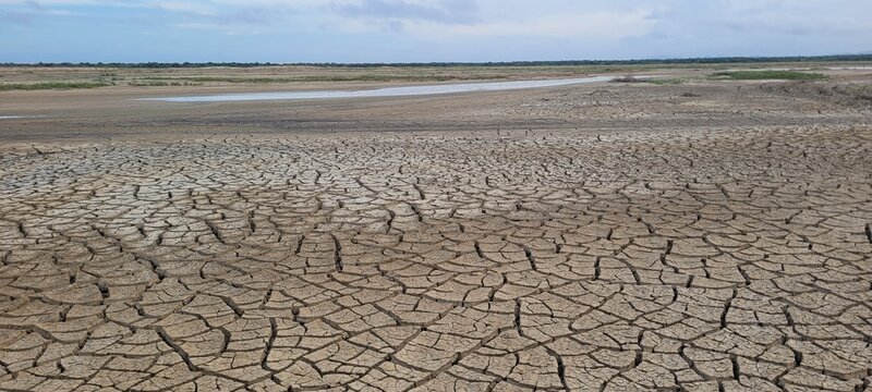 Cambio clim&aacute;tico: sin vegetaci&oacute;n 