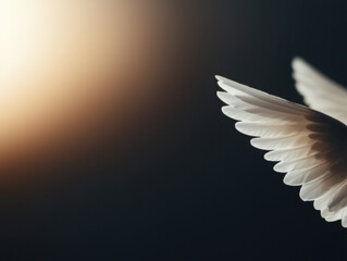 Obraz premium The Enchanting Essence of Angelic Wings: A Source of Serenity, Hope, and Guidance Through Life's Turmoil, Illuminating Dreams and the Path to Love and Light.