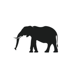 Fototapeta premium Silhouette of an African Elephant in Profile