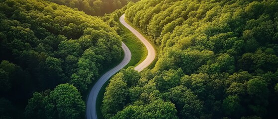 Drone shot capturing the lush green forest canopy, emphasizing carbon neutrality and the importance of ecological preservation