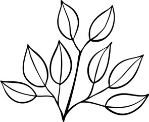 hand drawn illustration of leaves.