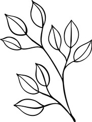 hand drawn illustration of leaves.