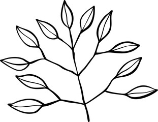 hand drawn illustration of leaves.