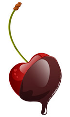 Red Cherry Dipped in Chocolate Isolated Vector Art