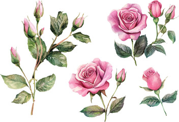 Obraz premium pattern with pink roses