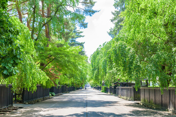 【重伝建】仙北市角館（武家町）　秋田県