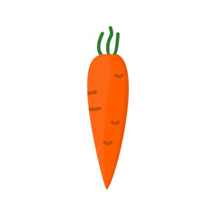 Carrot Vector Icon