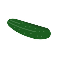 Cucumber Vector Icon