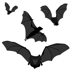 Flederm&auml;use - Halloween