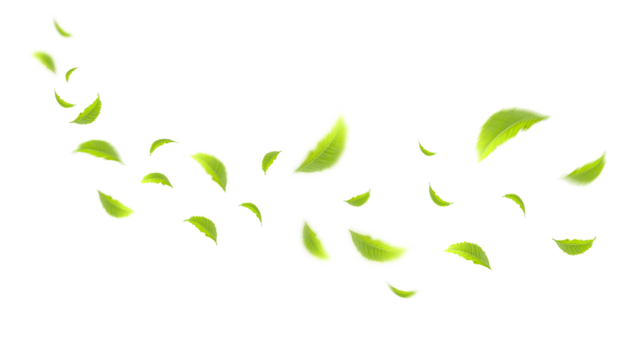 Flying leaves design, suitable for design elements on white background with clipping path