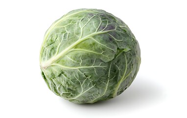 Fototapeta premium Single fresh green cabbage isolated on white background.
