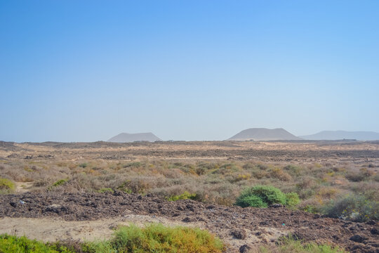 Nature at the foot of volcanoes in the Camino Natural area of ​​Fuerteventura
