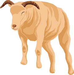 Farm Animal Illustration