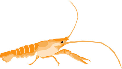 Marine World Illustration