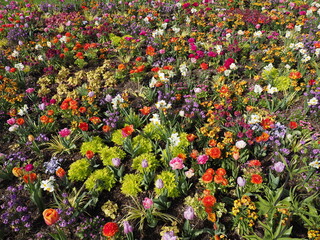 Schönes Blumenbeet