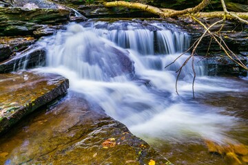 Serene waterfall in lush forest