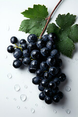 Fresh black grapes with water droplets and green leaves on white background