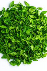 Obraz premium Fresh green basil leaves arranged beautifully on white background