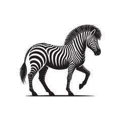 Obraz premium zebra animal isolated on black silhouette