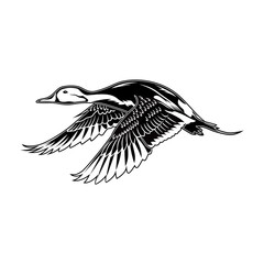pintail duck hunting illustration logo vector image t shirt
