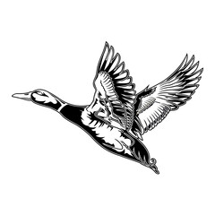 mallard duck hunting illustration logo vector image t shirt