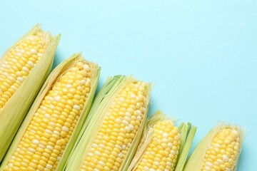 Fresh corn on cobs on color background, top view