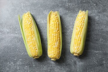 Fresh corn on cobs on gray background, top view