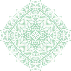 Beautiful flower art and mandala vector design
