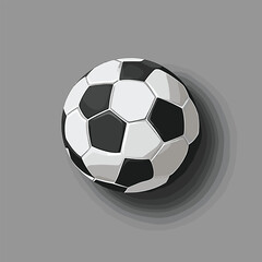Fototapeta premium Stylish black and white soccer ball graphic design