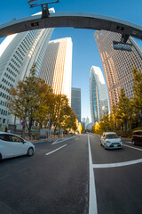 【魚眼】2024年　秋　大都会高層ビルと街並みの夕方　摩天楼の風景【紅葉】