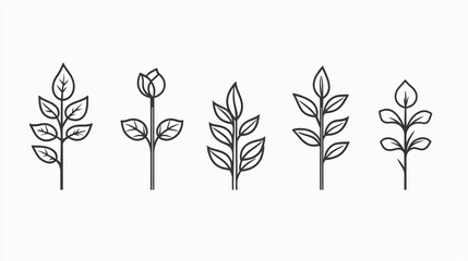 Minimalist Young Plant Outline Icon Isolated on Transparent Background