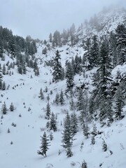 snow covered mountains