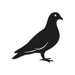 Graceful Pigeon Silhouette Vector Illustration | Bird Design