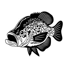 crappie fishing illustration logo vector image t shirt