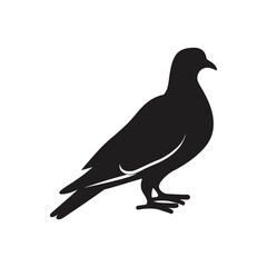 Graceful Pigeon Silhouette Vector Illustration | Bird Design