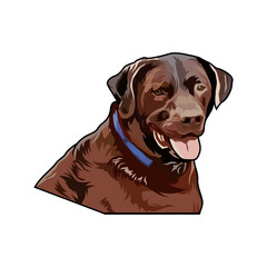 labrador dog hunting illustration logo vector image t shirt