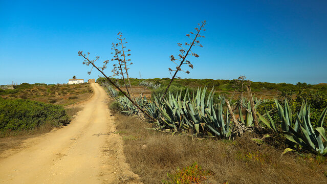 &Ouml;de Landschafft in der Algavre in Portugal
