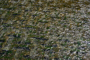 上高野の高野川の流れ