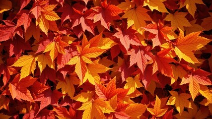 Fototapeta premium Autumnal Foliage A Vibrant Collection of Red and Gold Leaves