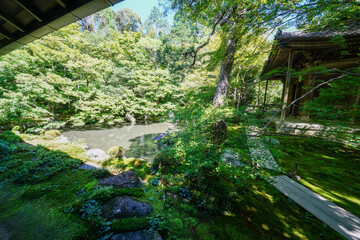 Naklejka premium 京都の仏教寺院の池のある庭園