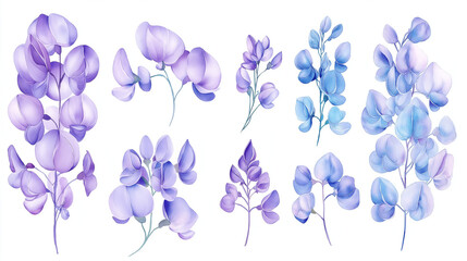 Watercolor American Wisteria seamless pattern, border, watercolor illustration, background.