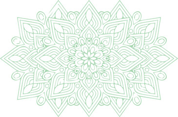 Beautiful flower art and mandala vector design