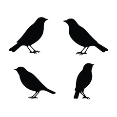 Bird Silhouette Collection ,  Flying and Perched Birds Vectors set 