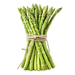 Freshly Harvested Asparagus Bunch Tied with Rope on White Background