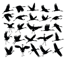 A set of silhouettes of the flying cranes.
