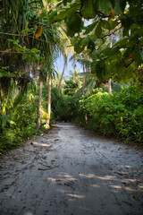 dhigurah jungle trail in maldives